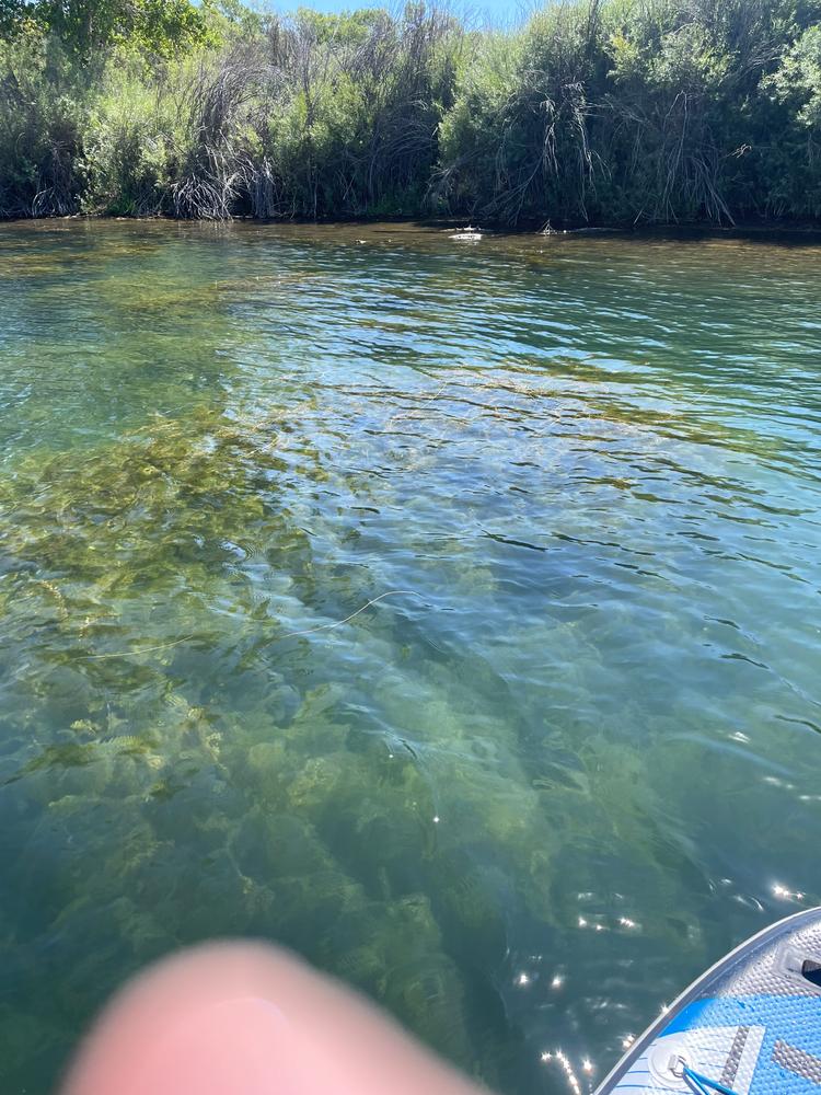 Paddle Board Deck Cooler Bag - Customer Photo From Brian Lewis