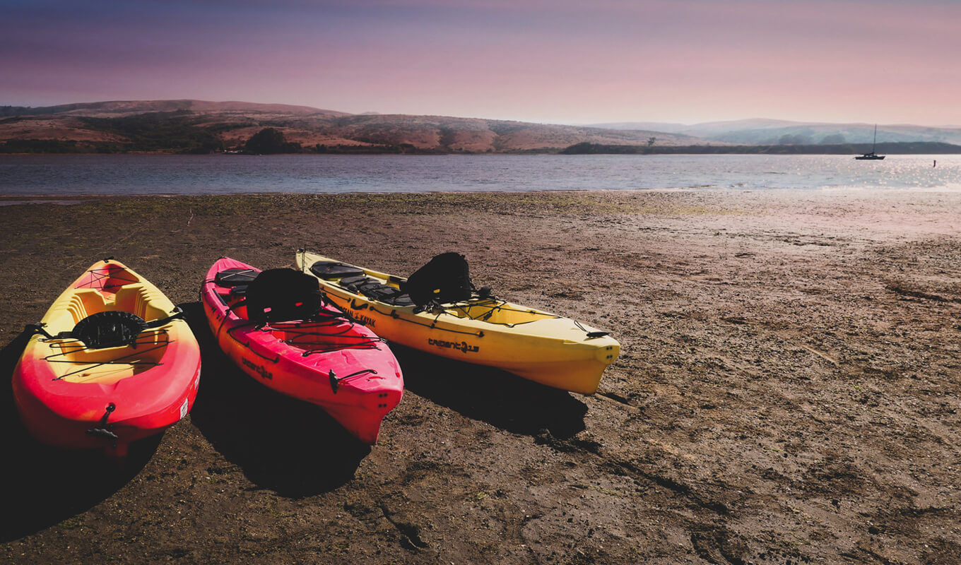 Different kinds of kayaks